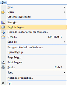 Default File menu in OneNote 2007