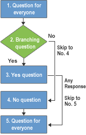Implementation of survey logic