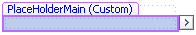 Content placeholder label showing (Custom)