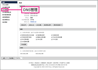 Click "DNS管理"