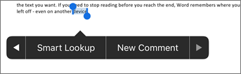 Tap New Comment after selecting text in Word