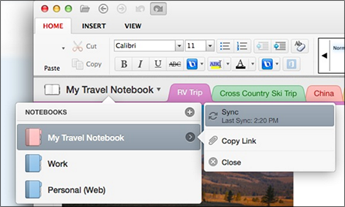 microsoft onenote for mac sections on top