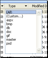 Type column showing filter menu