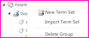 In the Term Store tool, you can select elements in the navigation pane to open a menu