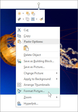Screenshot of the Format Picture options in Publisher.