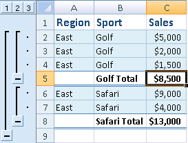 Example of automatic subtotals