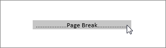 Image of a selected Page Break in Word Web App