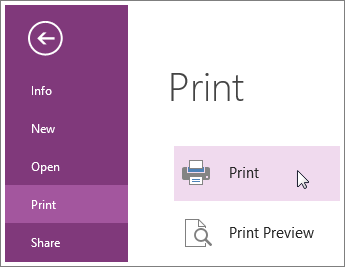 You can print OneNote pages from the Print menu