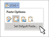 Paste menu with set default paste selected
