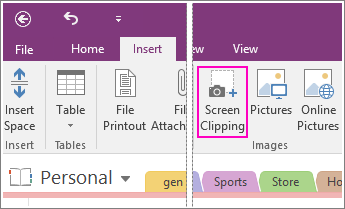 Screenshot of the Insert Screen Clipping button in OneNote 2016