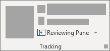 Reviewing Pane in the Tracking panel