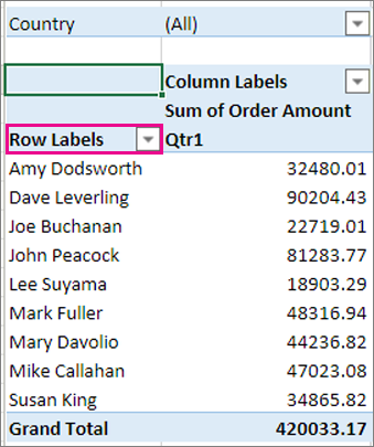 Rows area in the PivotTable