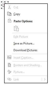 Outlook Download or Save as Picture