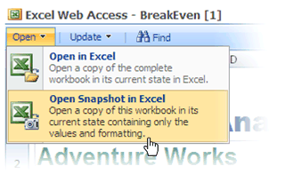Open Snapshot in Excel