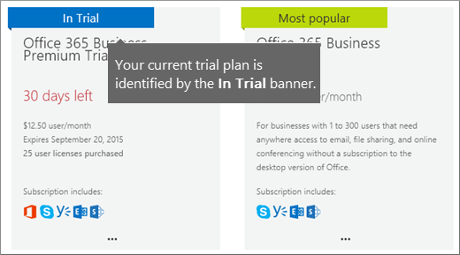 In Trial banner for your trial subscription..