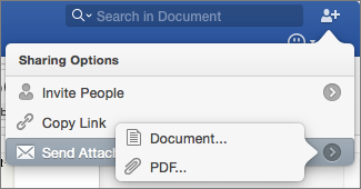 Select the format for the document you will send, Word document or PDF.