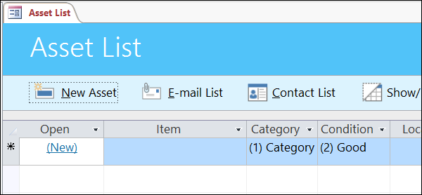 Asset list form in the Access Asset database template