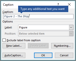 Type any optional custom text for your captions in the label field.