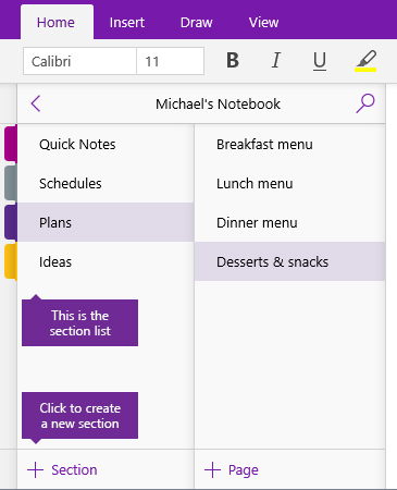 Screenshot of the Add Section button in OneNote