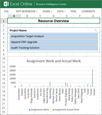 The Resource Overview workbook gives resource information for your projects