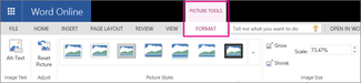 On the Picture Tools Format tab