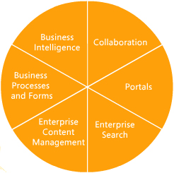 sharepoint server 2007 features