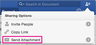 To send your document as an attachment to an e-mail message, click Send Attachment.