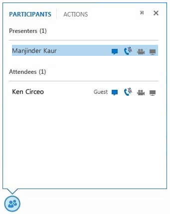 screen shot of the icons next to a participant's name to indicate the status of their IM, audio, video and sharing capabilities
