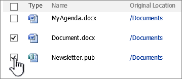 SharePoint 2007 Recycle dialog with items selected
