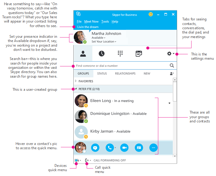 The Skype for Business Contacts window, diagrammed