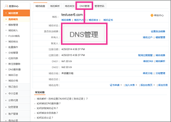 Click "DNS管理"