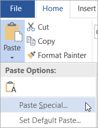 Choosing Paste Special on the Paste menu