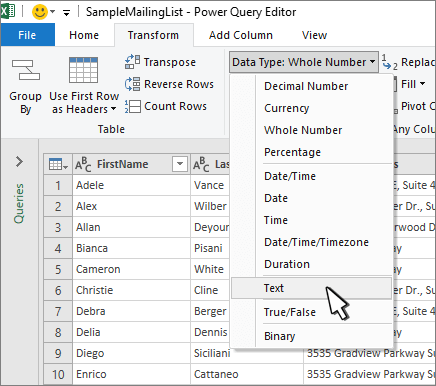Power Query window with Text selected