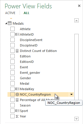 geographic location icon in Power View Fields