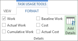 Task Usage Tools Format tab, Add Details button