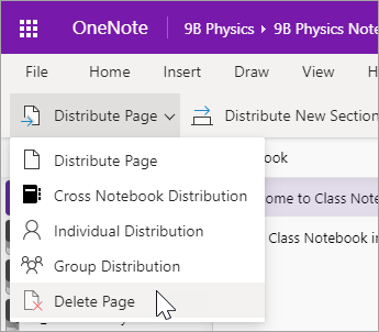 remove page description onenote notebook for mac