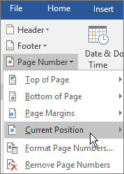 how tp put thesis format page numbers in word