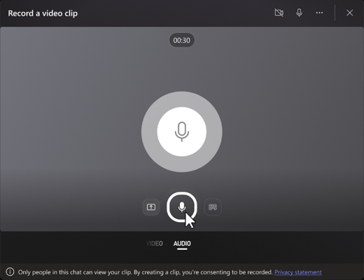 Screenshot showing audio recording button