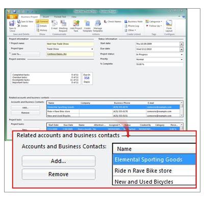 Business Project record showing related accounts and business contacts