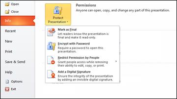 Protect Presentation button with options