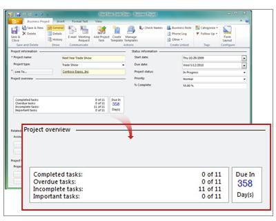 Business Project record showing Overview