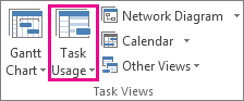 Task Usage button on the View menu