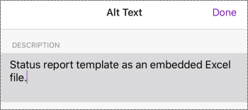 Alt text dialog box for an embedded file in OneNote for iOS.