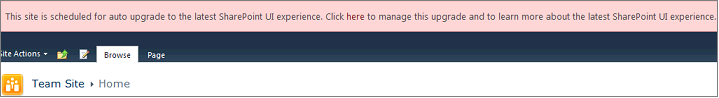 Pink banner telling you your site is scheduled for auto-upgrade