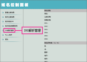 Click "DNS解析管理"