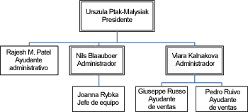 Formas organizadas con el ejecutivo en la parte superior, los directores alineados horizontalmente debajo y los puestos alineados verticalmente debajo de los directores