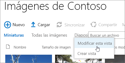 Barra de vista de la biblioteca de imágenes con la opción Modificar vista seleccionada