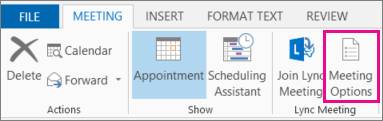 Botón Opciones de reunión en Outlook 2013