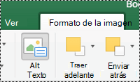 Botón Texto alternativo para las imágenes de la cinta de opciones en Excel para Mac