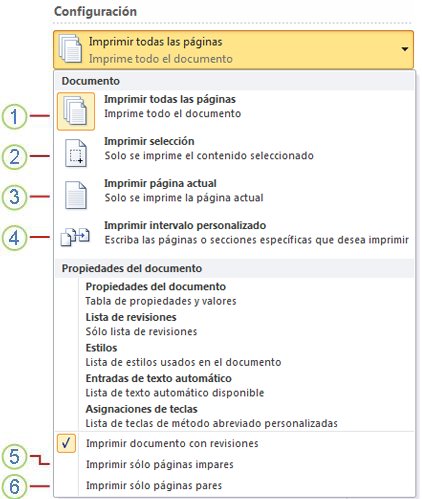 Microsoft Office 2010 Vista Preliminar Puerto